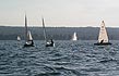 Picture of the fleet upwind